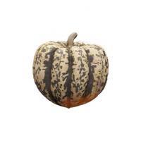 Pumpkin Clean 3D Scan #8