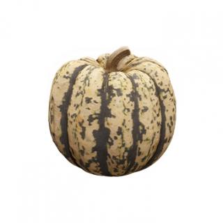 Pumpkin Clean 3D Scan #10